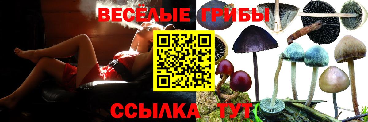 Ликино-Дулёво  Псилоцибиновые грибы ЛСД  Вход с VPN 