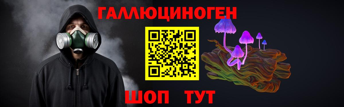 Псилоцибиновые грибы мицелий Ликино-Дулёво